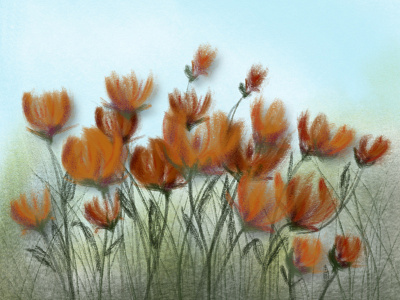 Field of Poppies adobefresco design digitalpainting graphicdesign illustration procreate