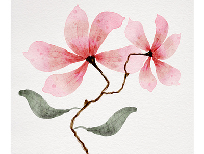 Magnolia! adobefresco app design digitalpainting graphicdesign illustration minimal procreate surfacedesign web