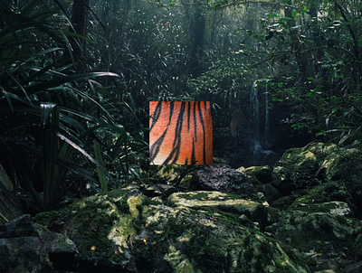 ANIMINIMAL / Tiger animal art colors design graphic graphic design illustration jungle minimal orange roar stripes tiger