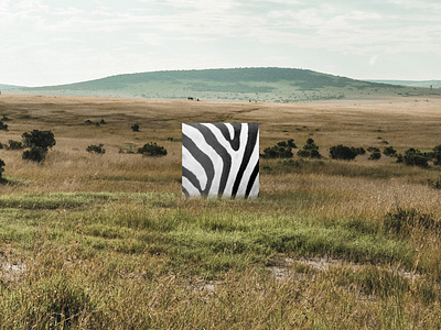 ANIMINIMAL / Zebra animal art black colors design graphic graphic design illustration minimal nature savanna stripes white zebra