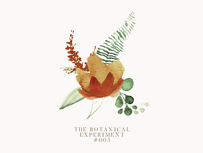 Botanical Experiment illustration