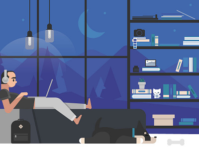 Night Owl bedroom bookshelf dog flat illustration lights mountains room