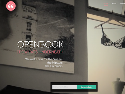 OpenBook homepage