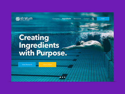 Stratum Nutrition UI Design mobile app design responsive website ui design ux design web design