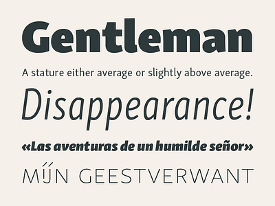 Skolar Sans brezina extended font narrow rosetta sans simple skolar typeface