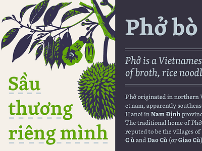 Skolar Vietnamese academic book brezina font multilingual rosetta serif typeface vietnamese