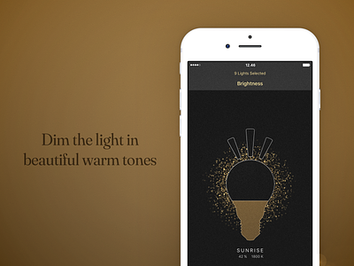 Brightlight - iOS promo - dimming.png
