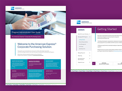 Amex Corporate Solutions User Guide