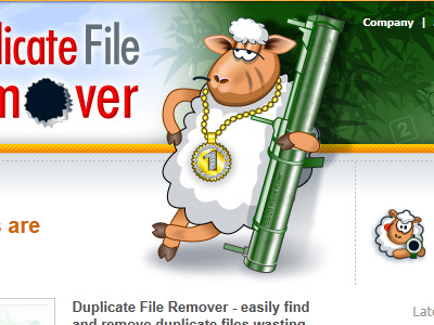 Duplicate File Remover 's page illustration logo web