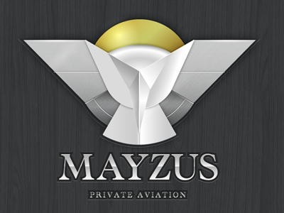 Mayzus logo color air bird forces logo mayzus own plane