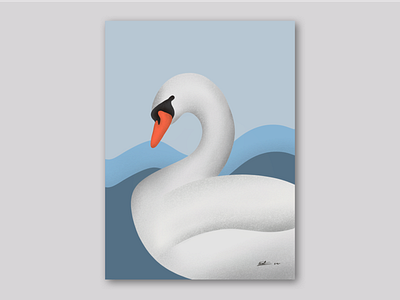 Swans of Tiergarten illustration minimal procreate vector