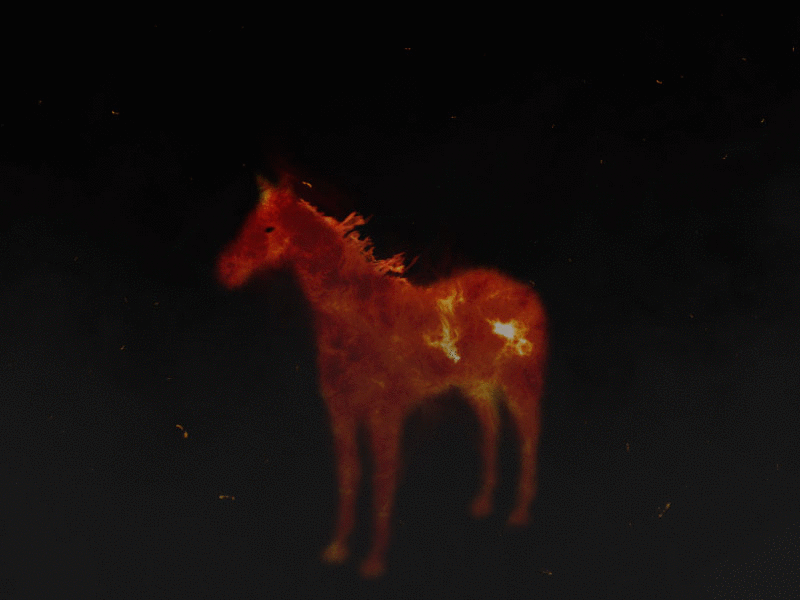 HORSE & FIRE fire horse