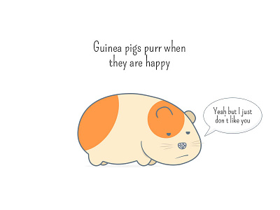 Guinea Pig animal facts grumpy guinea pig purr small