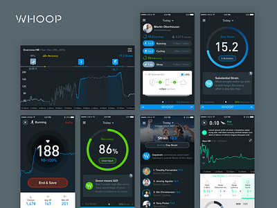 WHOOP App dashboard data visualization graph information design ui user experience user interface ux