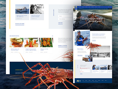 Members Owned Mockup concept crayfish design finance grid homepage layout lobster marketing ui web