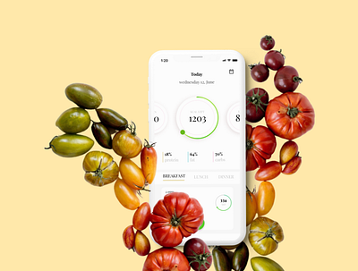 personal nutrition planner app design ui