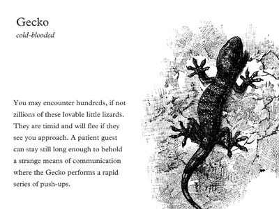 Guidebook book clipart lizard plantin print science underdesign
