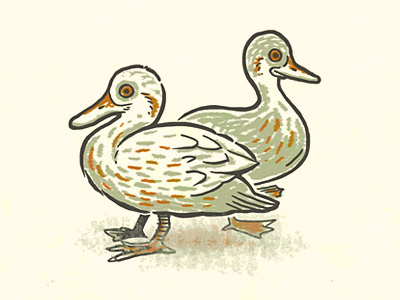 Ducks animals beaks birds duck duckies ducks farmyard fowl