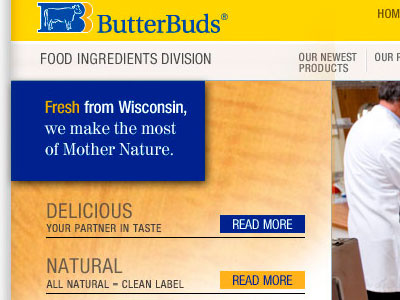 Butterbuds Homepage blue dairy food vernacular web design