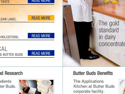 Butterbuds Homepage blue dairy food vernacular web design white