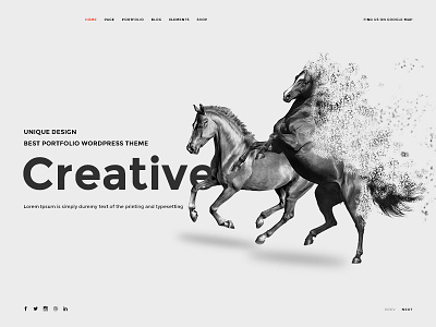 Banner Creative creative horse portfolio