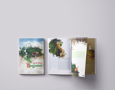 Publication Design book design magazine design