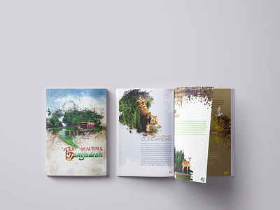 Publication Design