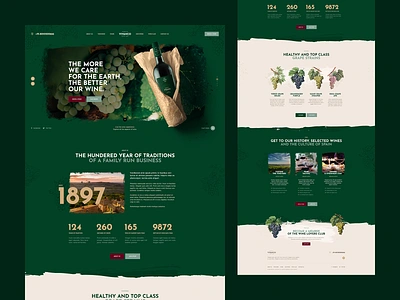 Vivanco 🍇 branding grunge illustration landingpage onepage ui ux vector vineyard web webdesign webdesigner website wine winery