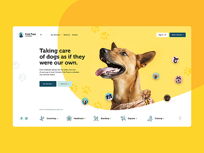 Club Pups 🐶 agency design dogs hero illustration intro landingpage onepage pets poland ui ux web webdesign webdesigner website