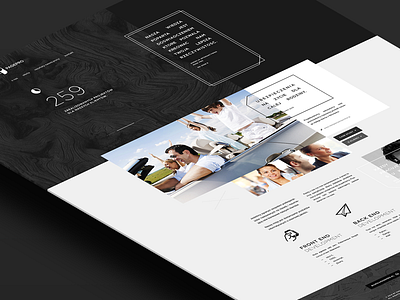 PagePro minimalist visiontrust webdesign