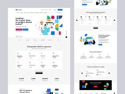 The Xpert 👩‍💻👨‍💻 agency design expert freelancer illustration landingpage minimalist onepage poland ui upwork ux web webdesign webdesigner website