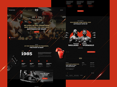 Boxing Club 🥊 agency app box boxing design illustration landingpage minimalist mobile onepage poland sport ui ux visiontrust web webanimation webdesign webdesigner website