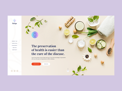 SPA & Wellness Institute 💆‍♀️ agency app design health illustration landingpage minimalist mobile onepage poland spa ui ux visiontrust web webanimation webdesign webdesigner website wellness