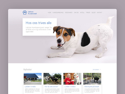 Frontpage - Hotel for dogs clean design dog gray layout page site ui ux web webdesign website
