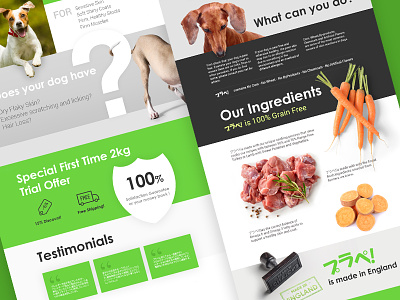 Design a landing page for Planet Pet products