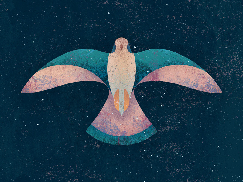 'You Be The Bird' vector color texture illustration