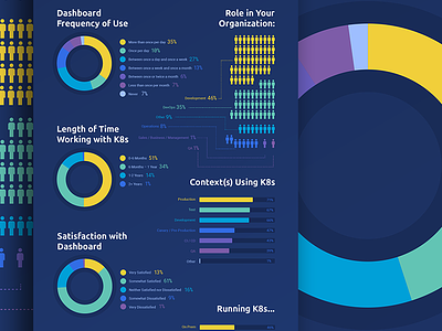 Kubernetes Survey Infographic color dashboard data illustration infographic kubernetes ui