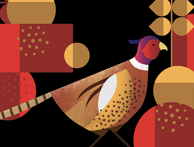 Pheasant Illustration bird brand branding illustration label labelling nature pheasant