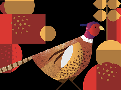 Pheasant Illustration