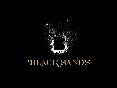 Black Sands Wine branding branding and identity branding design icon logo wine