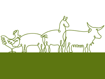 Animal Illustration for Nuggety Creek animals farm linework monotone nature