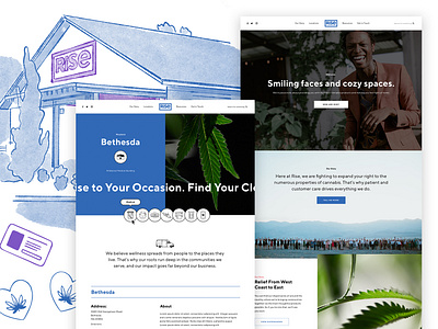 Rise Cannabis 🌱 cannabis cannabis branding cannabis website clean homepage marijuana minimal rise ui ux