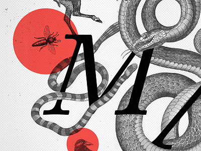 Animals animals engraving letters m poster red snake typography