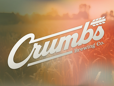 Crumbs Brewing Co. beer branding brewery design graphic design icon identity illustrator logo photoshop typography vector