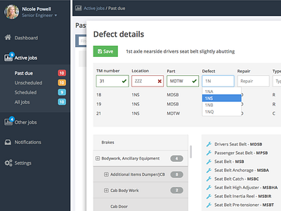 Defect details