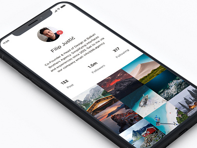 Iphone X - Profile Design follower interface ios iphone x menu mobile mockup natural poetree posts profile