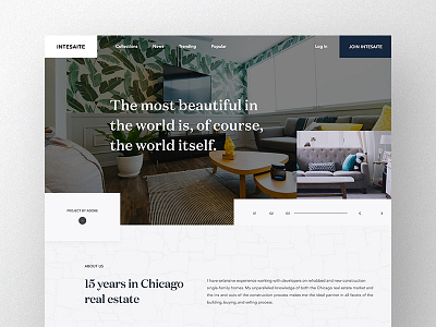 Intesaite Landing Page Concept