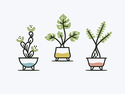 Plants & Pots art cactus houseplants icon design icons illustration illustrator nature philodendron plants pottery