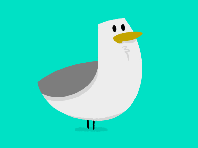 Untitled Bird Project (Seagull) by Jetpacks and Rollerskates on Dribbble