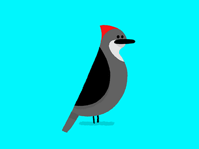 Untitled Bird Project (Woodpecker)